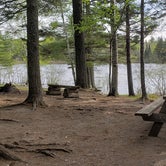 Review photo of Abol Pines State Campsite by Jean C., July 23, 2019