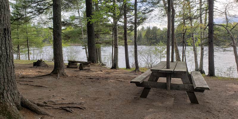 Camper submitted image from Abol Pines State Campsite