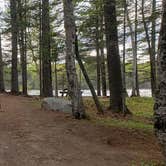 Review photo of Abol Pines State Campsite by Jean C., July 23, 2019