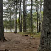 Review photo of Abol Pines State Campsite by Jean C., July 23, 2019