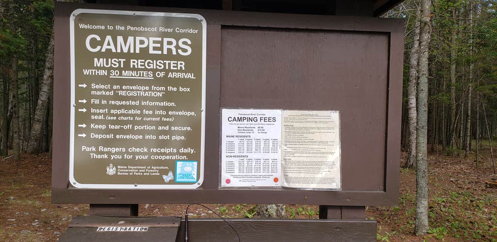 Camper-submitted photo at Abol Pines State Campsite near Millinocket, ME