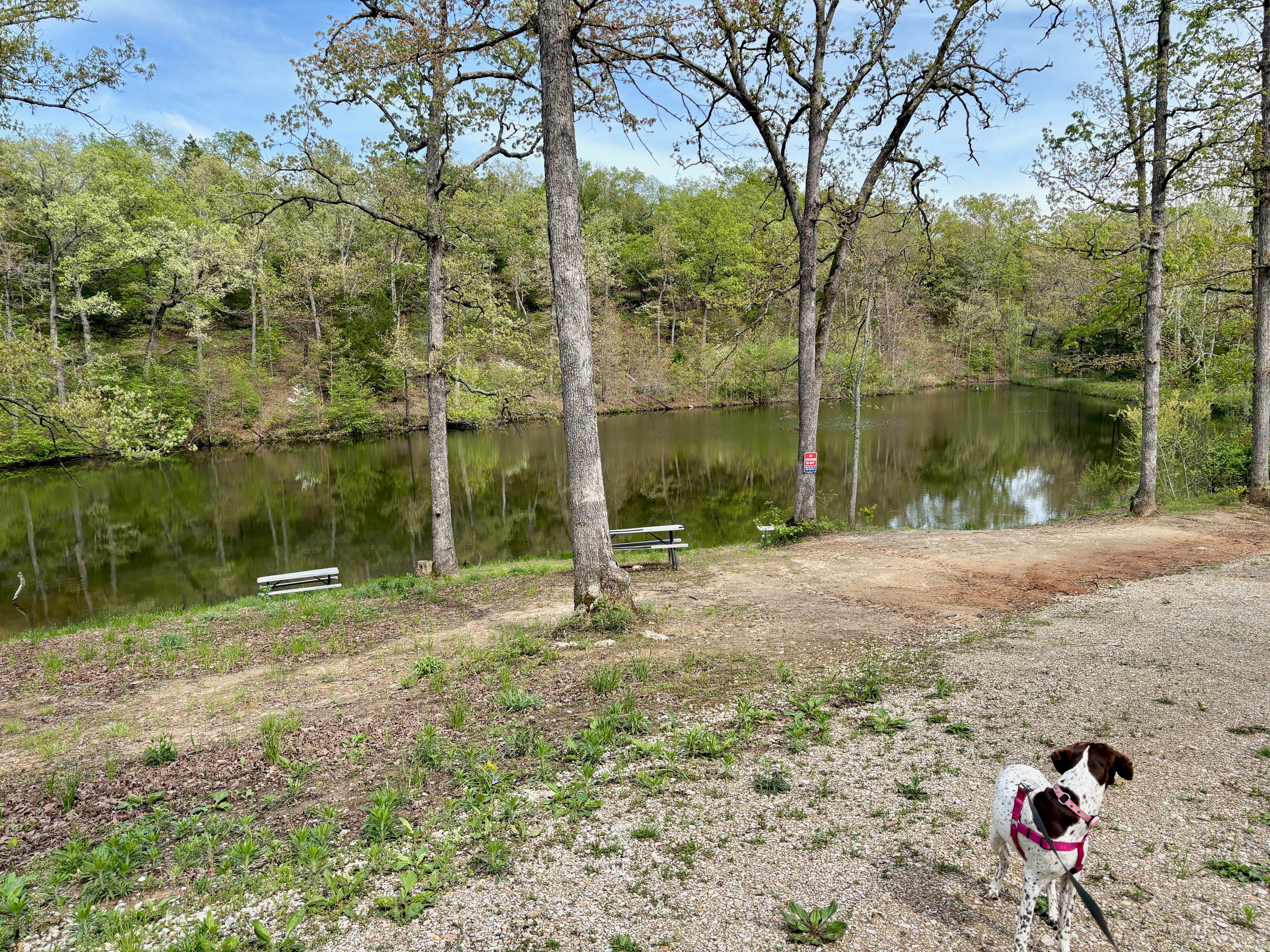 MickandKarla W.'s photo of camping with pets at Lazy Day Campground near Mexico, MO