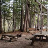 Review photo of Abol Pines State Campsite by Jean C., July 23, 2019