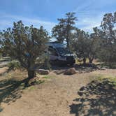 Review photo of Mid Hills Campground — Mojave National Preserve by paul G., May 1, 2025