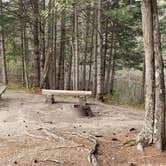 Review photo of Abol Pines State Campsite by Jean C., July 23, 2019