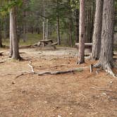 Review photo of Abol Pines State Campsite by Jean C., July 23, 2019