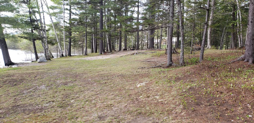 Camper-submitted photo at Abol Pines State Campsite near Millinocket, ME