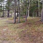 Review photo of Abol Pines State Campsite by Jean C., July 23, 2019