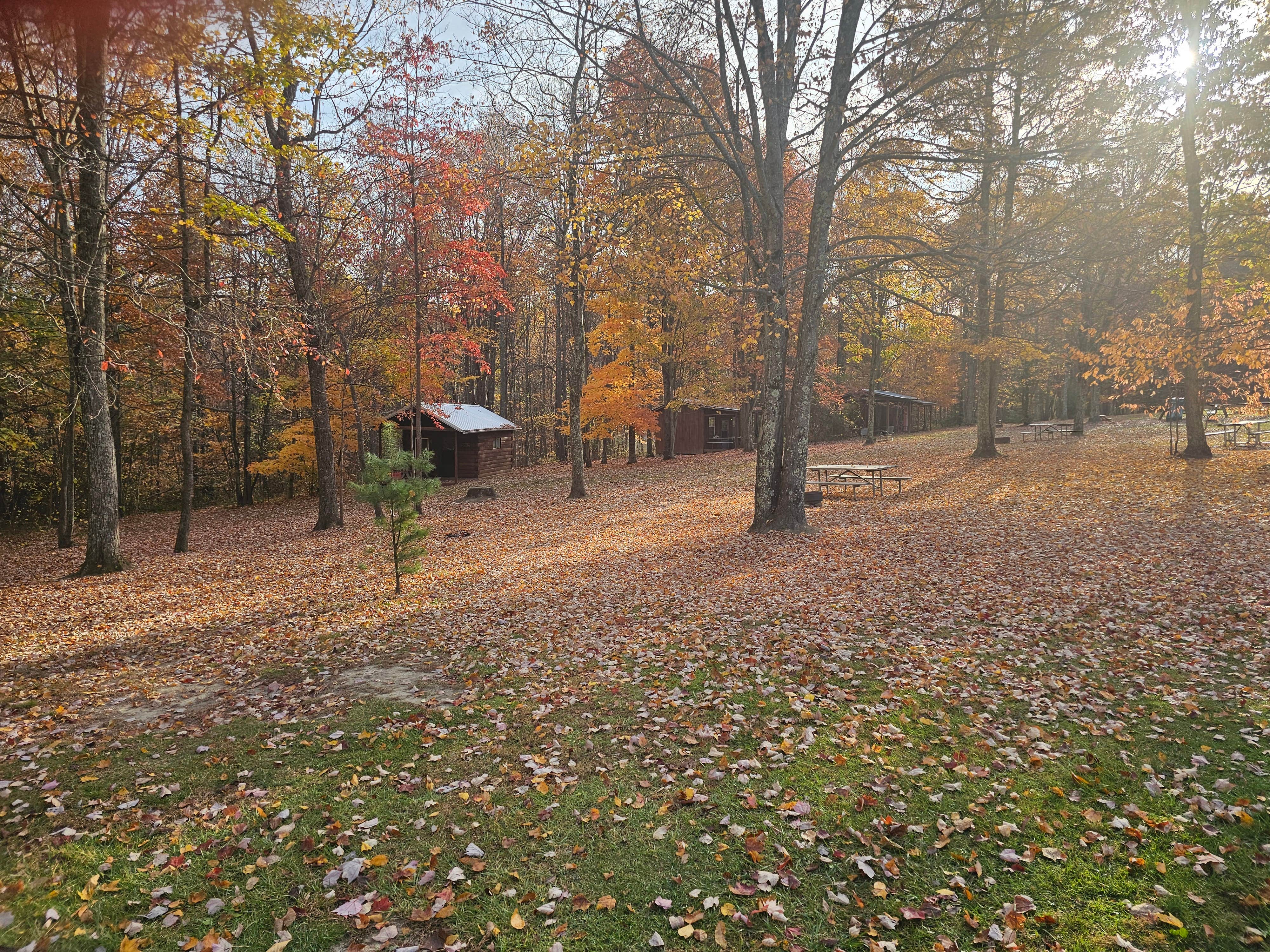 Camper-submitted photo at Rays Campground near Fayetteville, WV