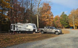 George R.'s photo of rv camping at Rays Campground near Oak Hill, WV