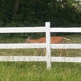 Review photo of Longview Campground by Shannon G., July 23, 2019