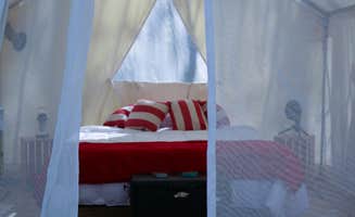 Laura J.'s photo of glamping accommodations at Strawberry Hill Camps near Norwich, NY