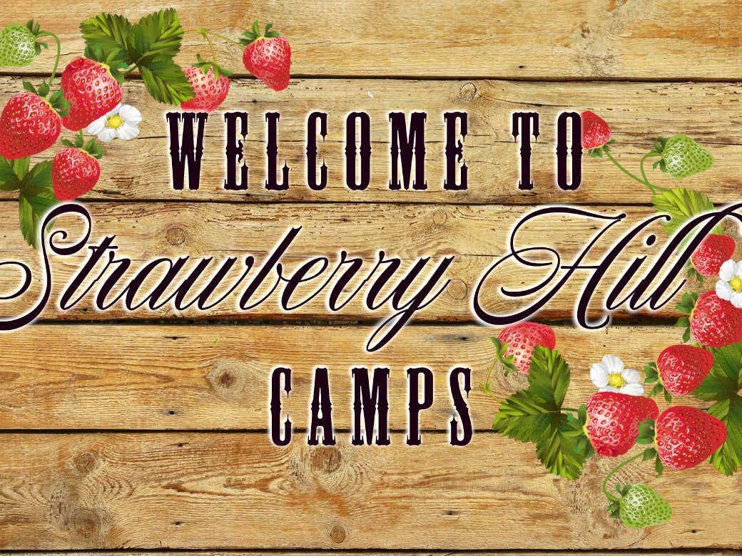 Camper-submitted photo at Strawberry Hill Camps near Cooperstown, NY