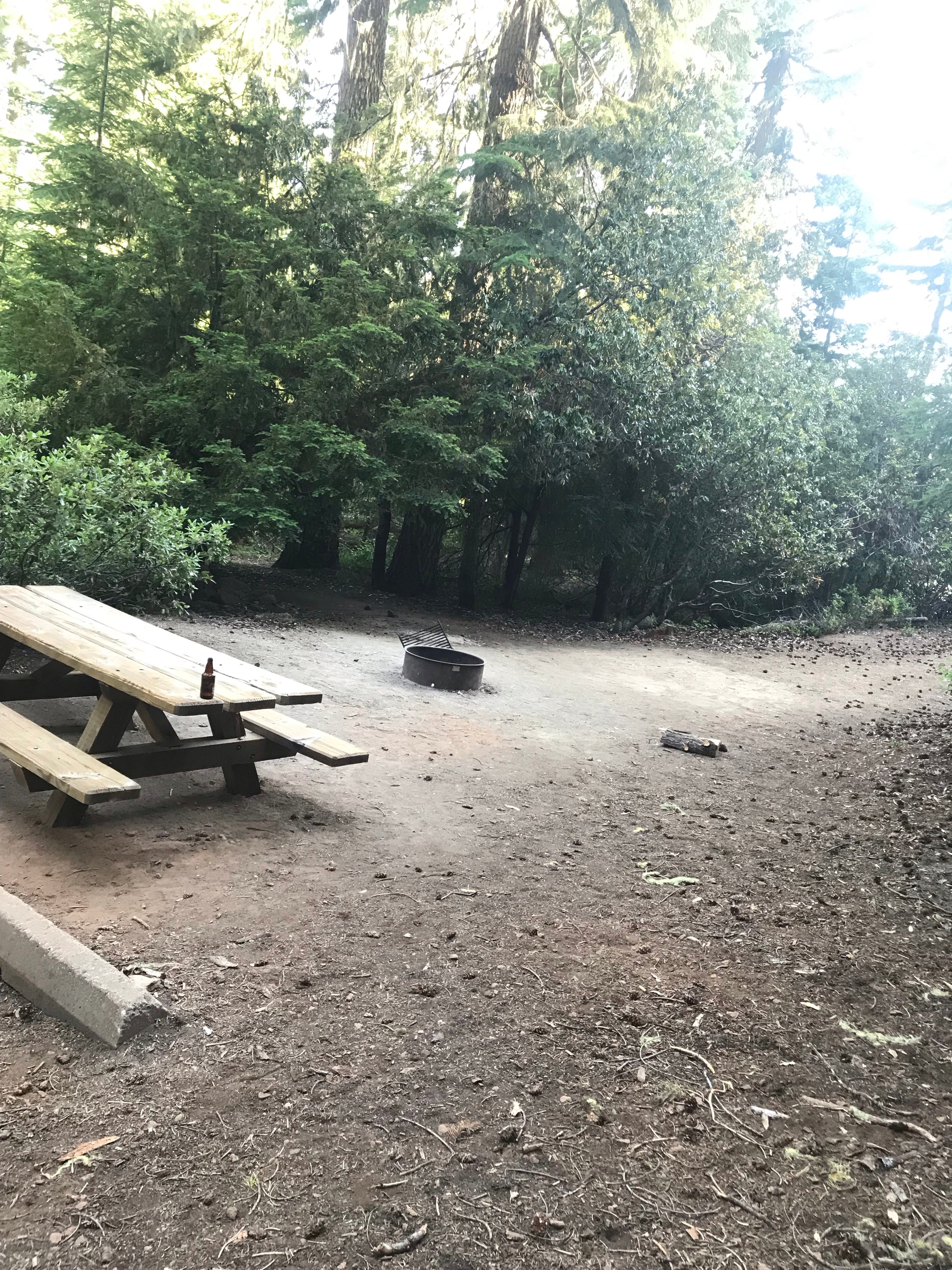 Camper submitted image from Fish Lake Campground - Rogue River - 5