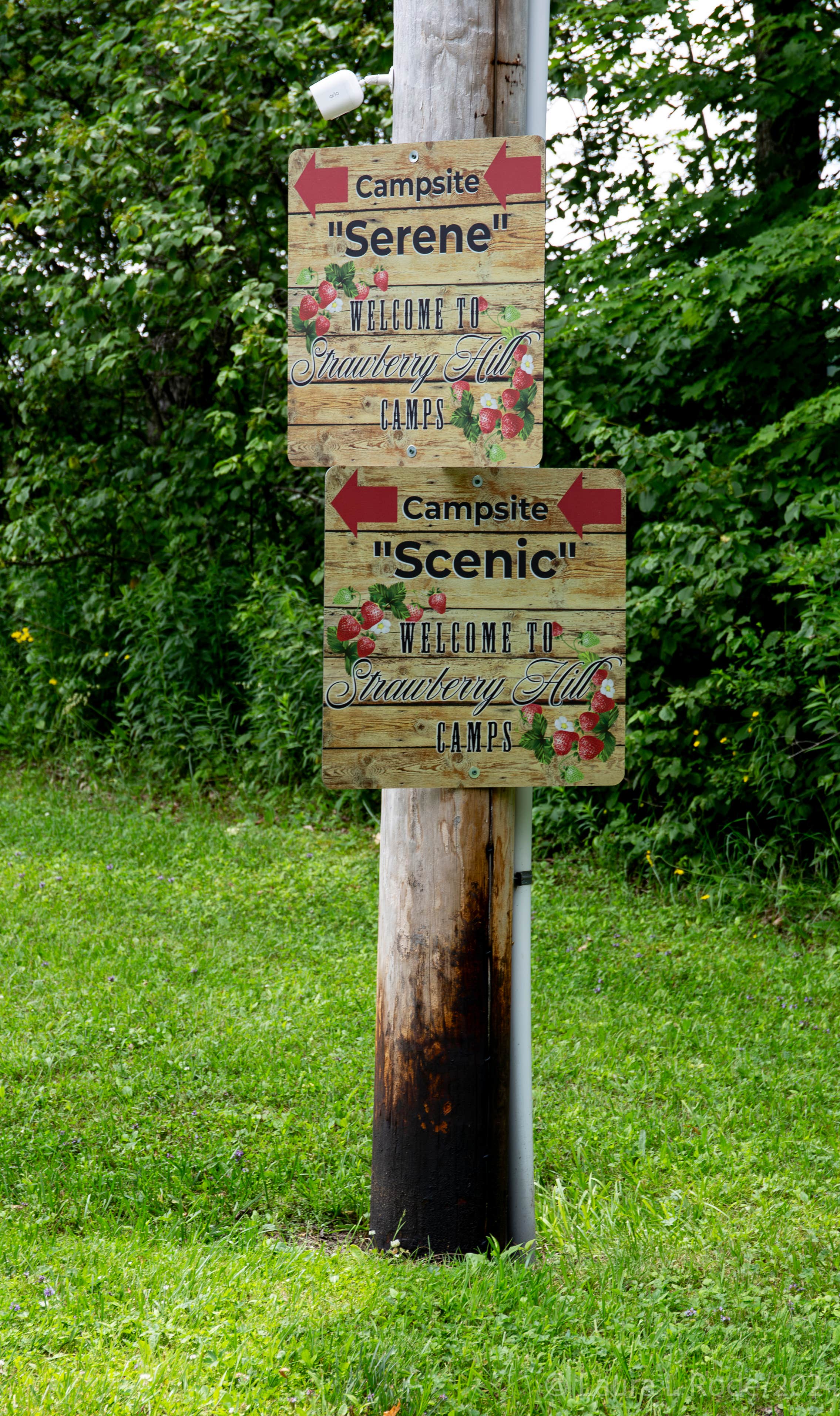 Camper-submitted photo at Strawberry Hill Camps near Cooperstown, NY