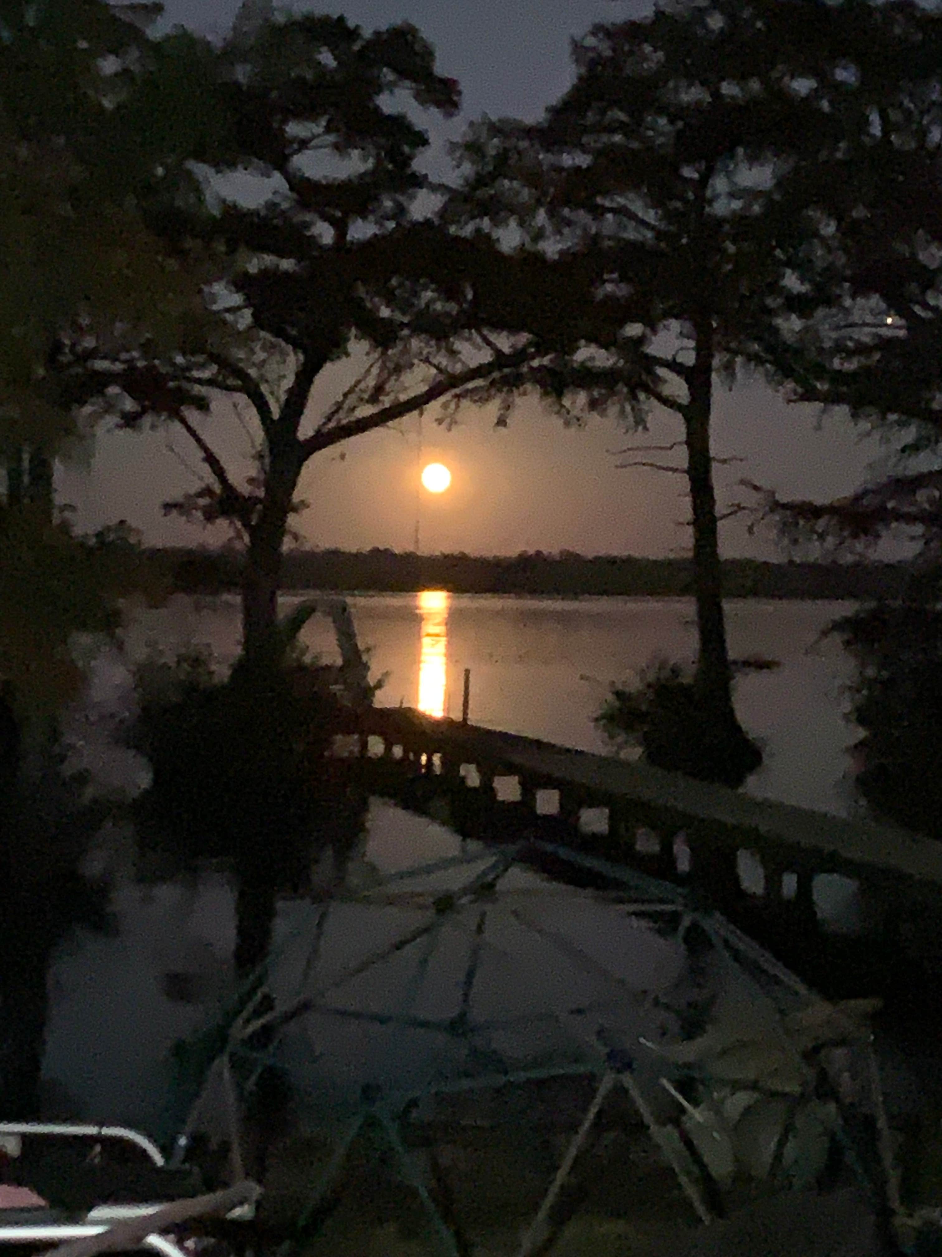 Camper-submitted photo at Cypress Cove Retreat near Windsor, NC