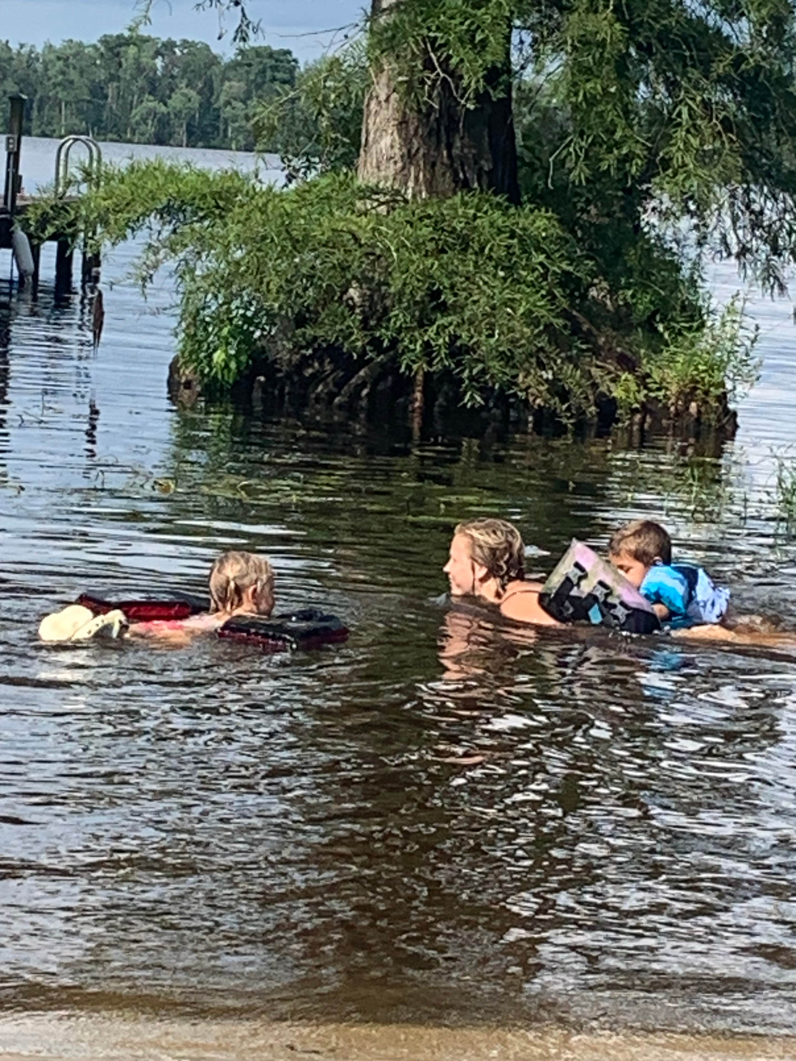 Camper-submitted photo at Cypress Cove Retreat near Windsor, NC