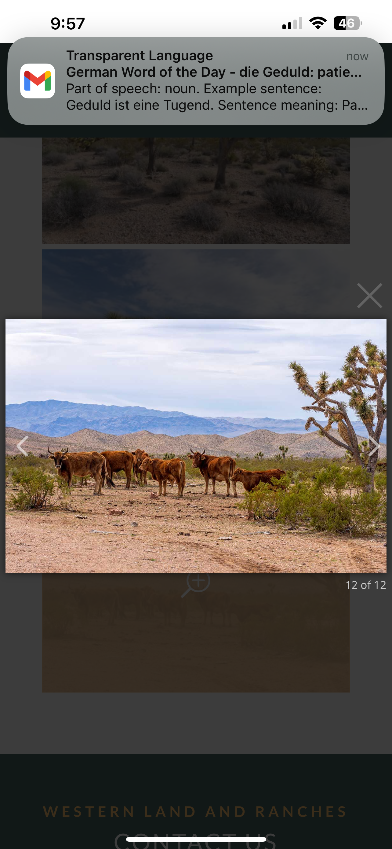 Camper submitted image from Sunny Lake Ranchos - 1