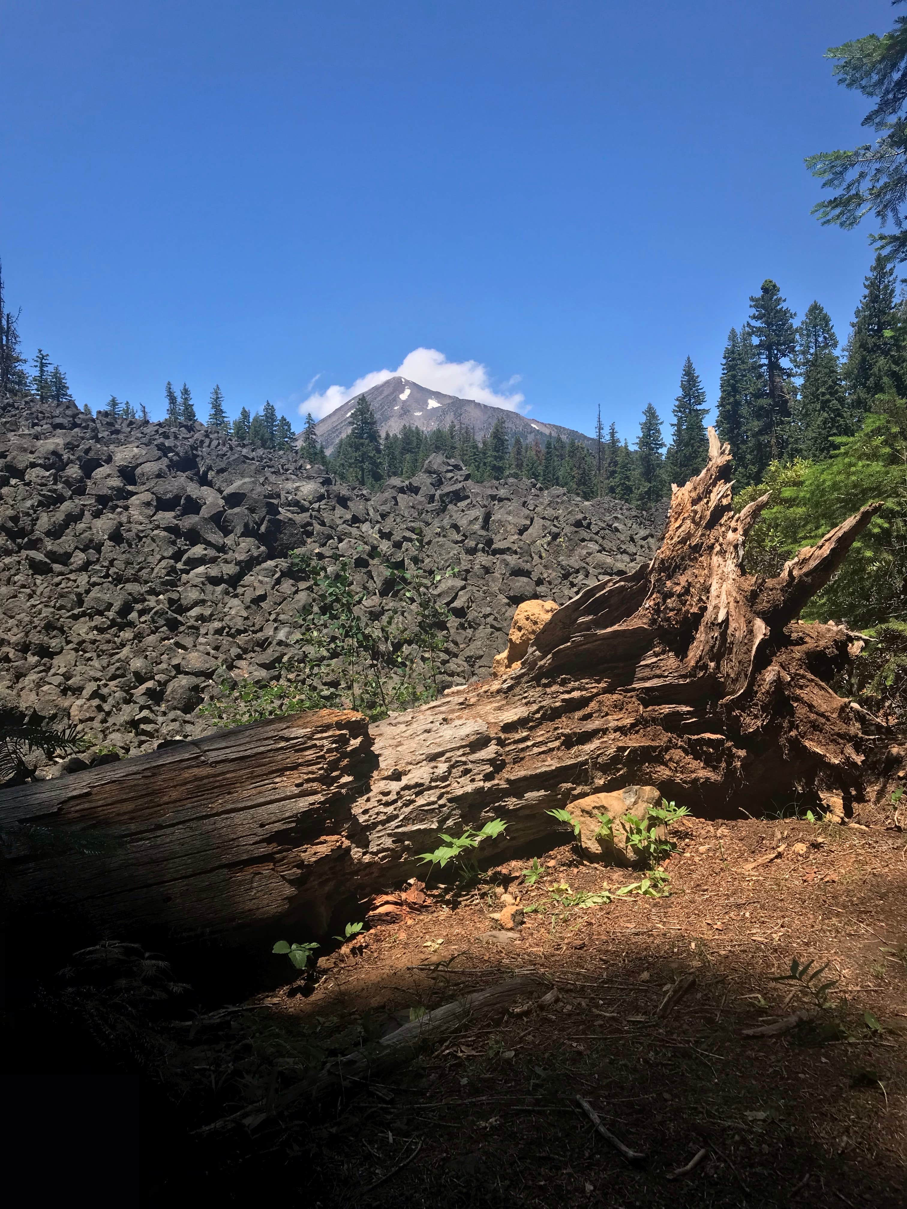 Camper-submitted photo at Fish Lake Campground - Rogue River near Ashland, OR
