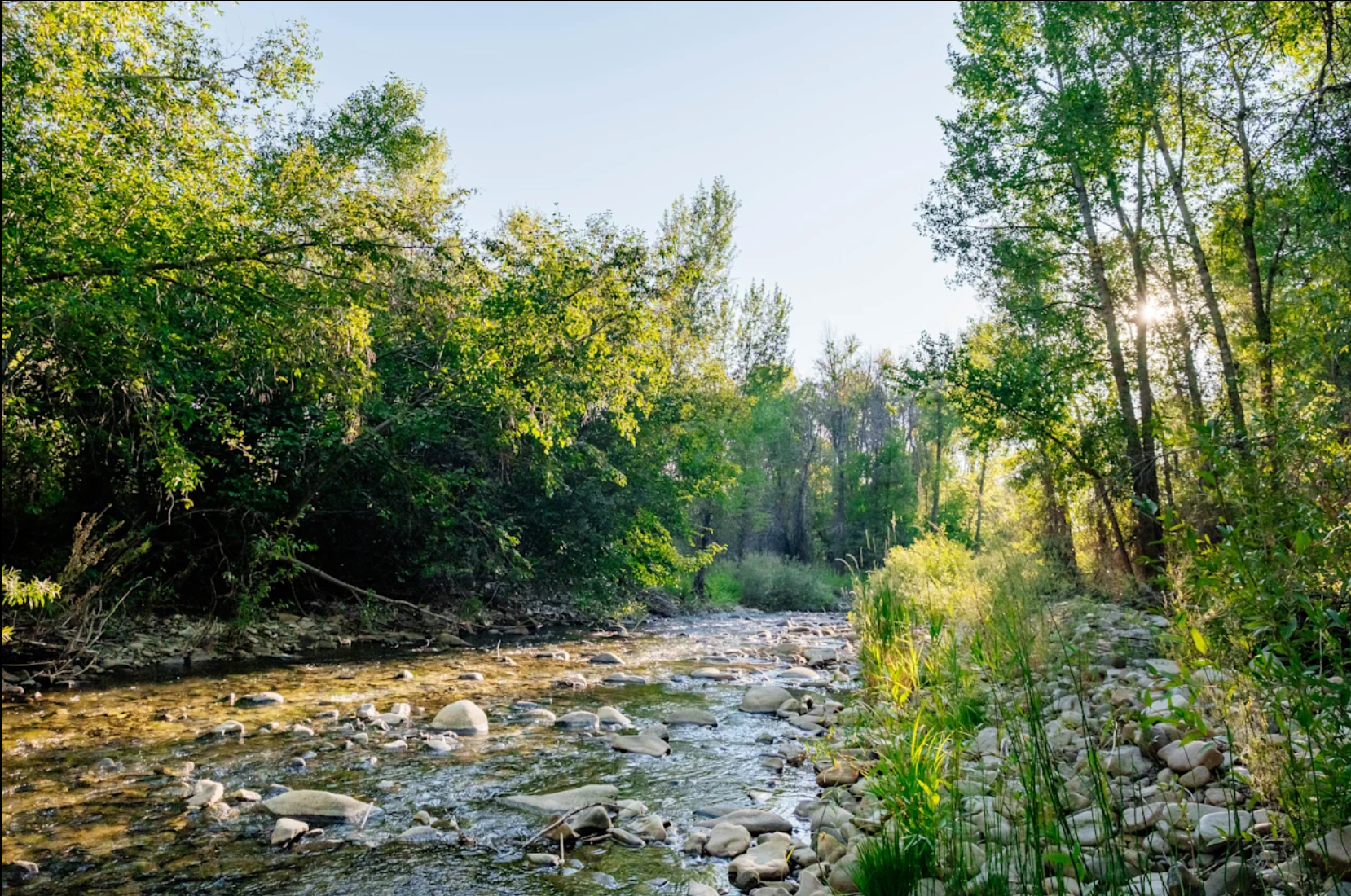 Camper-submitted photo at Double Rose Ranch near Black Canyon of the Gunnison National Park