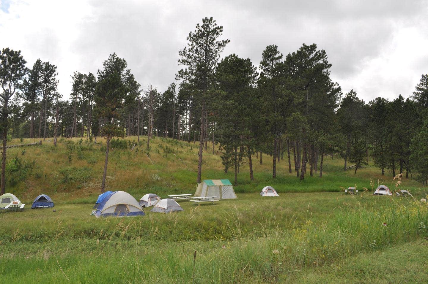 Camper-submitted photo at Elk Mountain Campground — Wind Cave National Park in South Dakota
