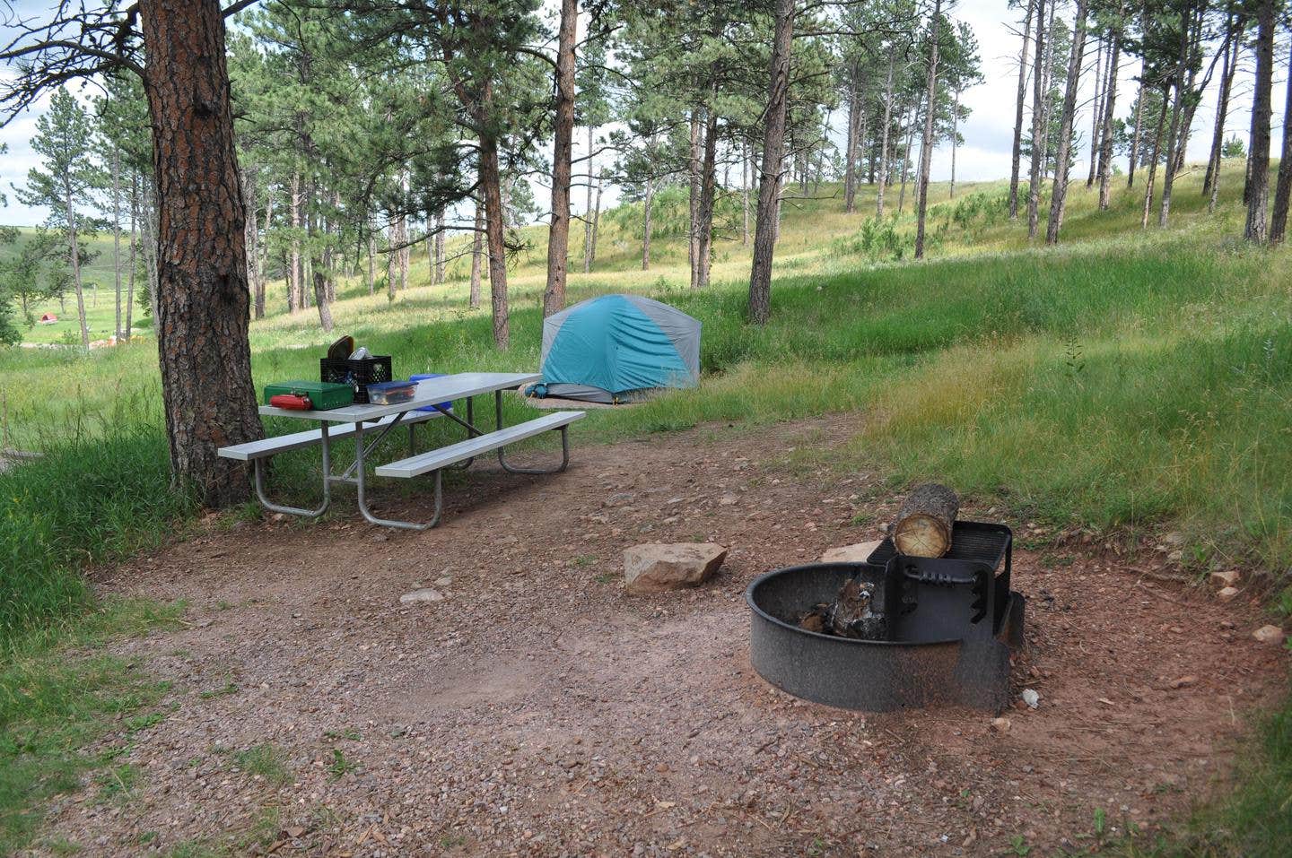 Camper-submitted photo at Elk Mountain Campground — Wind Cave National Park in South Dakota