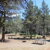 Review photo of Crooked River Campground — The Cove Palisades State Park by Debbie M., July 23, 2019