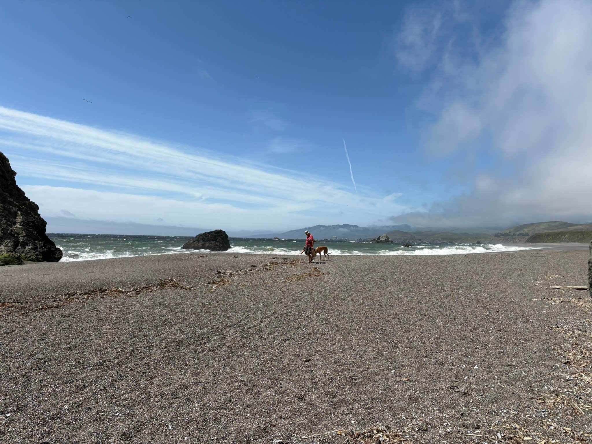 Kerri C.'s photo of camping with pets at Wright's Beach Campground — Sonoma Coast State Park near Fulton, CA