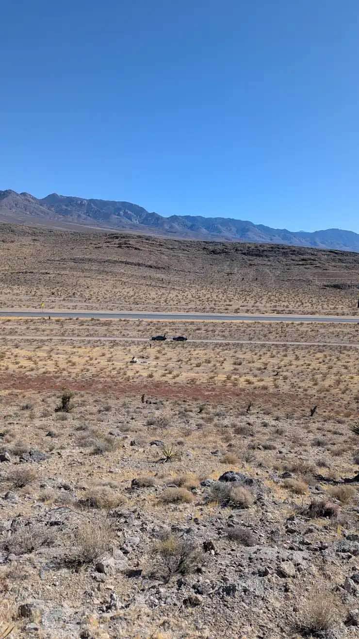 Camper submitted image from The Wild Mustang - 2