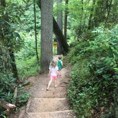 Review photo of Vogel State Park by Chris R., July 23, 2019