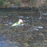 Review photo of Sandy Bottoms Recreation Area Campground (Clayton, Ga) — Chattahoochee Oconee National Forest by Chris R., July 23, 2019