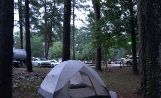 Jessica P.'s photo of tent camping at Wind Creek State Park Campground near Equality, AL