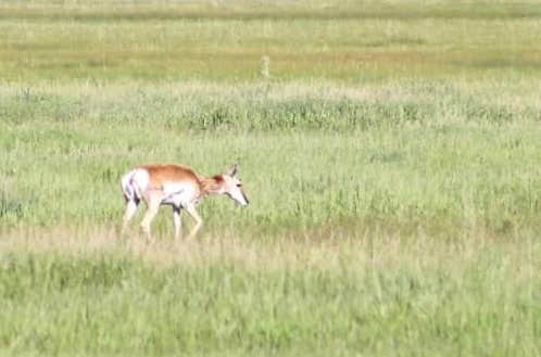 Camper-submitted photo at Mountain View RV Park & Campground near Devils Tower National Monument
