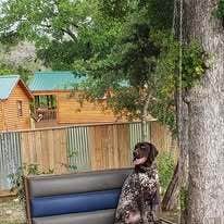 The Dyrt's photo of a cabin at Al's Hideaway Cabin and RV Rentals, LLC near Boerne, TX