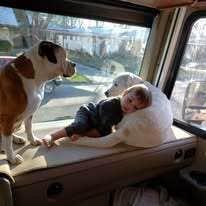 The Dyrt's photo of camping with pets at Al's Hideaway Cabin and RV Rentals, LLC near Boerne, TX