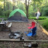 Review photo of Sky Meadows State Park Campground by Katie M., July 23, 2019