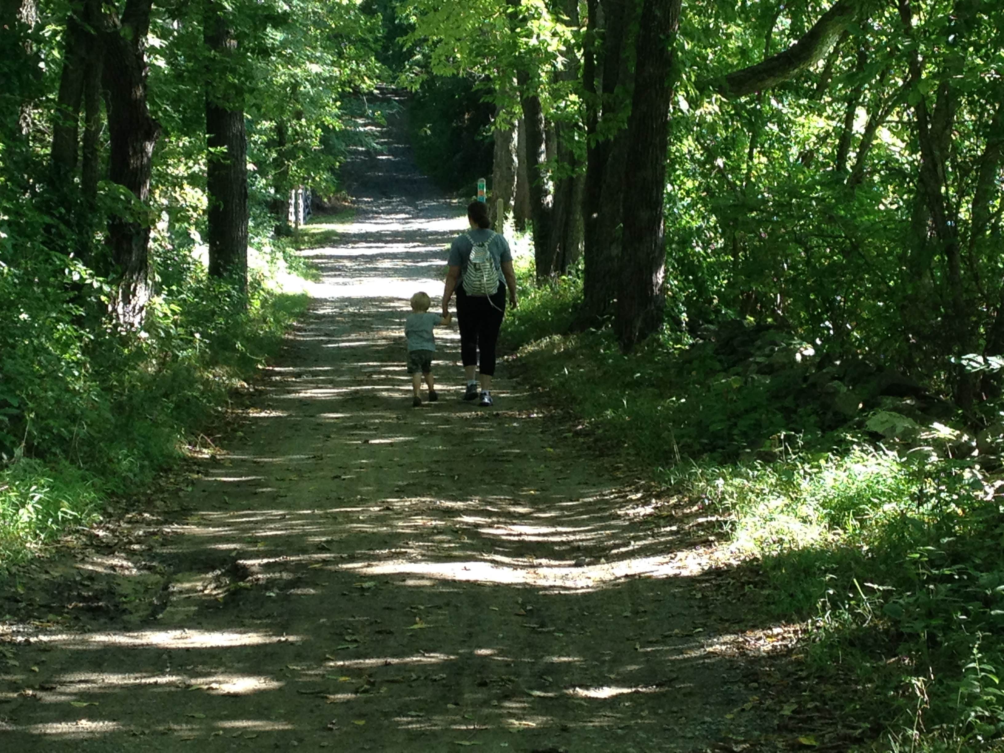 Camper submitted image from Sky Meadows State Park Campground - 5