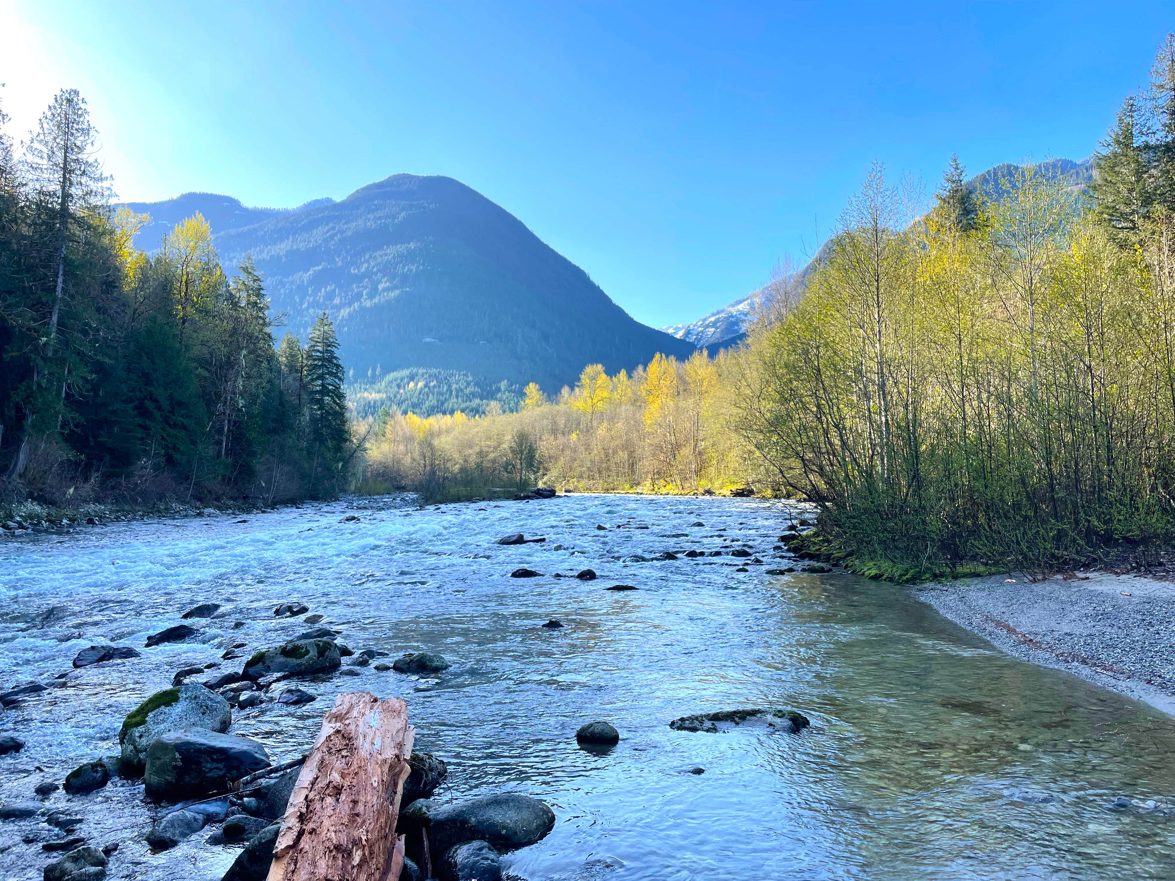 Camper submitted image from Little A-Frame on Cascade River - 2