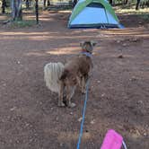 Review photo of Mather Campground — Grand Canyon National Park by Mike M., July 23, 2019