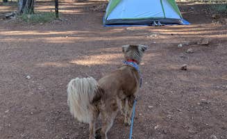 Mike M.'s photo at Mather Campground — Grand Canyon National Park near Grand Canyon, AZ