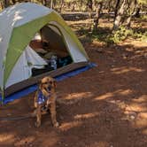 Review photo of Mather Campground — Grand Canyon National Park by Mike M., July 23, 2019