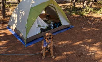 Mike M.'s photo of camping with pets at Mather Campground — Grand Canyon National Park near North Rim, AZ
