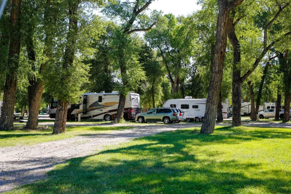 Camper-submitted photo at The Longhorn Ranch Lodge & RV Resort near Shoshone National Forest