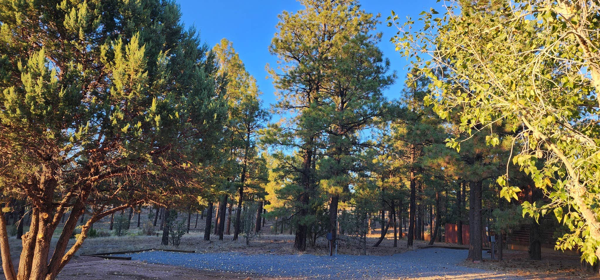 Camper-submitted photo at Mountain Retreat in Heber near Lakeside, AZ