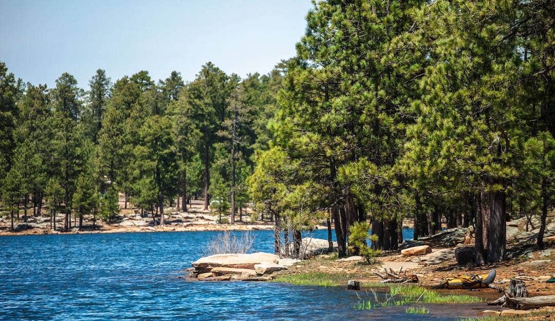 Camper-submitted photo at Mountain Retreat in Heber near Lakeside, AZ