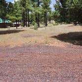 Review photo of Mountain Retreat in Heber by Caylee H., May 6, 2025