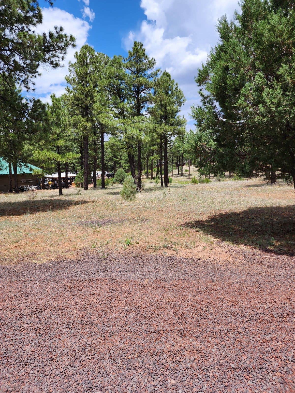 Camper submitted image from Mountain Retreat in Heber - 3