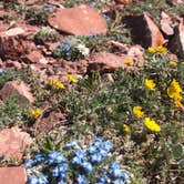 Review photo of Spring Creek Trailhead by Carrie C., July 23, 2019