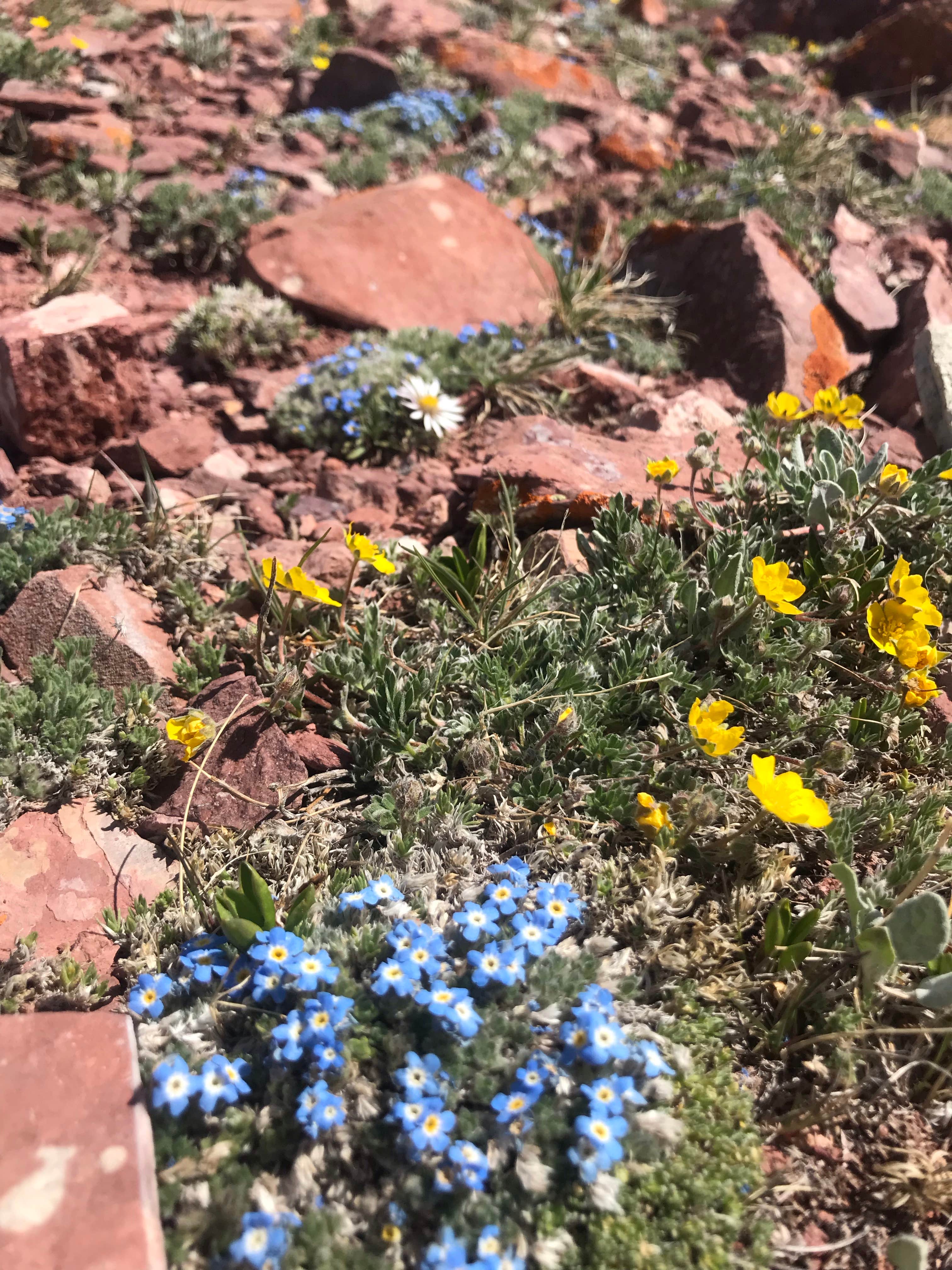 Camper submitted image from Spring Creek Trailhead - 2