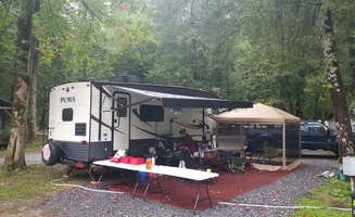 Scotty W.'s photo at Yogi in the smokies near Sylva, NC